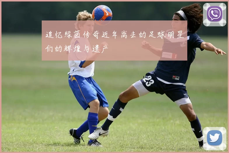 追忆绿茵传奇近年离去的足球明星们的辉煌与遗产