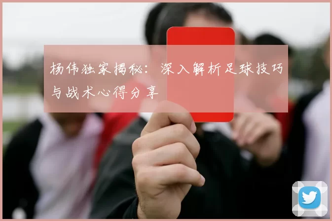 杨伟独家揭秘：深入解析足球技巧与战术心得分享