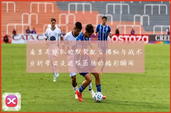 南京足球队的默契配合揭秘与战术分析带你走进绿茵场的精彩瞬间
