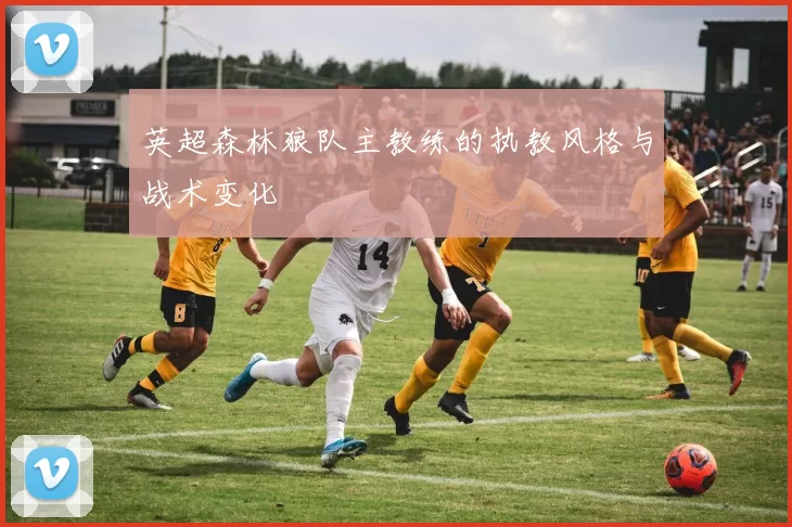 英超森林狼队主教练的执教风格与战术变化