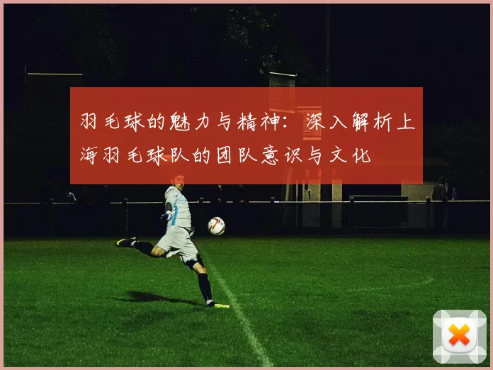 羽毛球的魅力与精神：深入解析上海羽毛球队的团队意识与文化