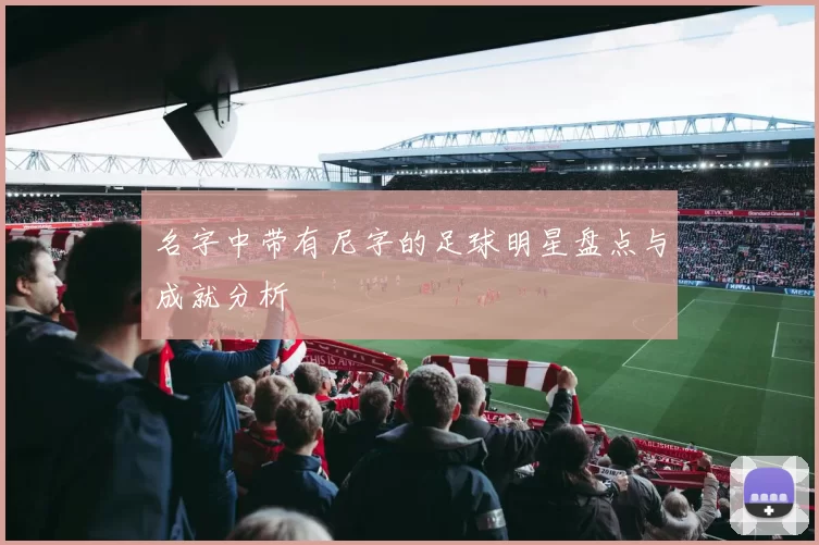 名字中带有尼字的足球明星盘点与成就分析