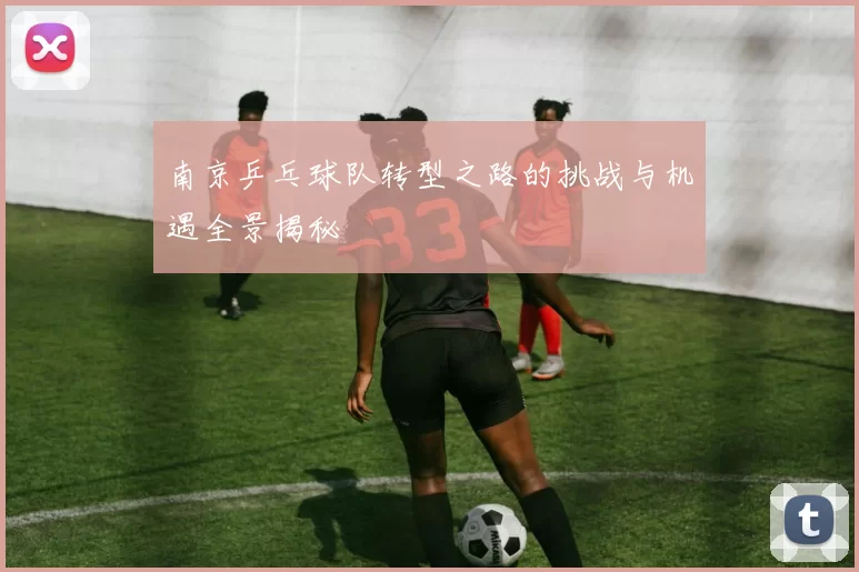 南京乒乓球队转型之路的挑战与机遇全景揭秘