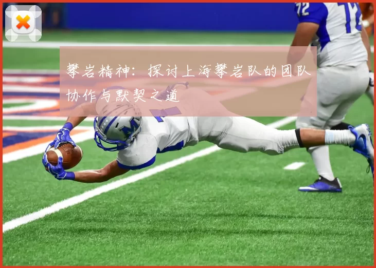 攀岩精神：探讨上海攀岩队的团队协作与默契之道