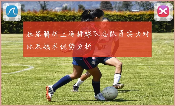 独家解析上海排球队各队员实力对比及战术优势分析