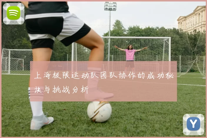 上海极限运动队团队协作的成功秘诀与挑战分析