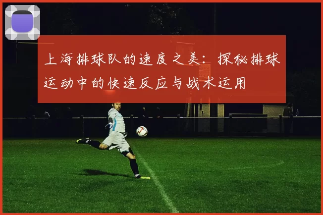 上海排球队的速度之美：探秘排球运动中的快速反应与战术运用