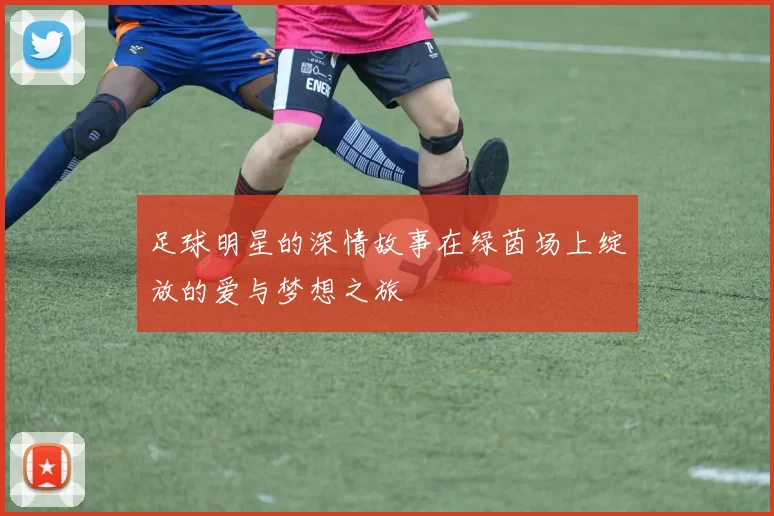 足球明星的深情故事在绿茵场上绽放的爱与梦想之旅