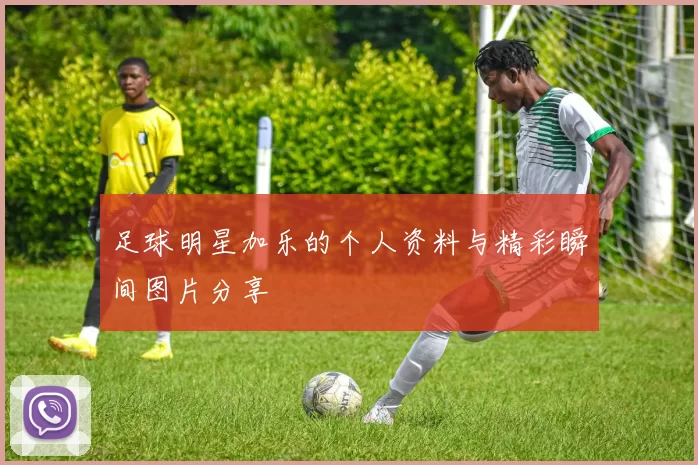 足球明星加乐的个人资料与精彩瞬间图片分享