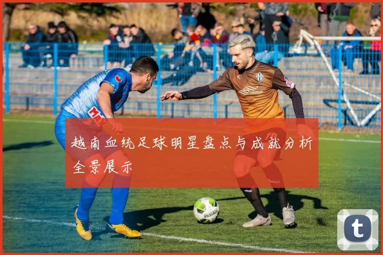 越南血统足球明星盘点与成就分析全景展示