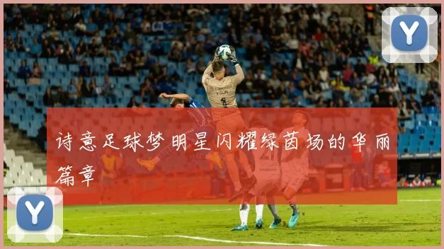 诗意足球梦明星闪耀绿茵场的华丽篇章