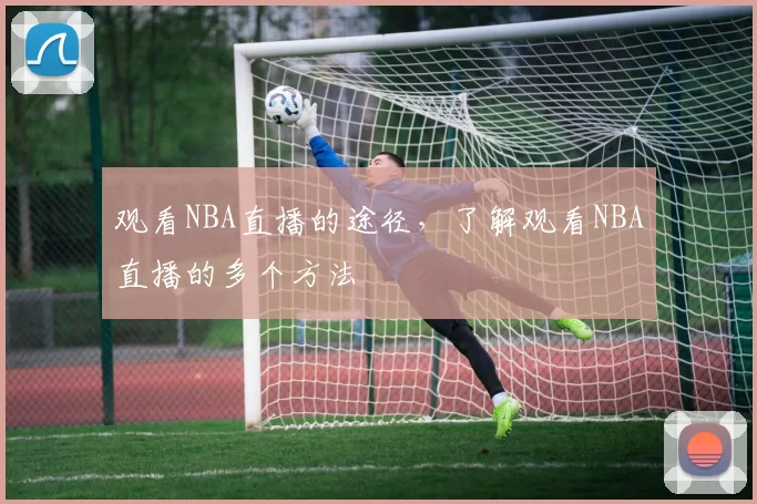 观看NBA直播的途径，了解观看NBA直播的多个方法