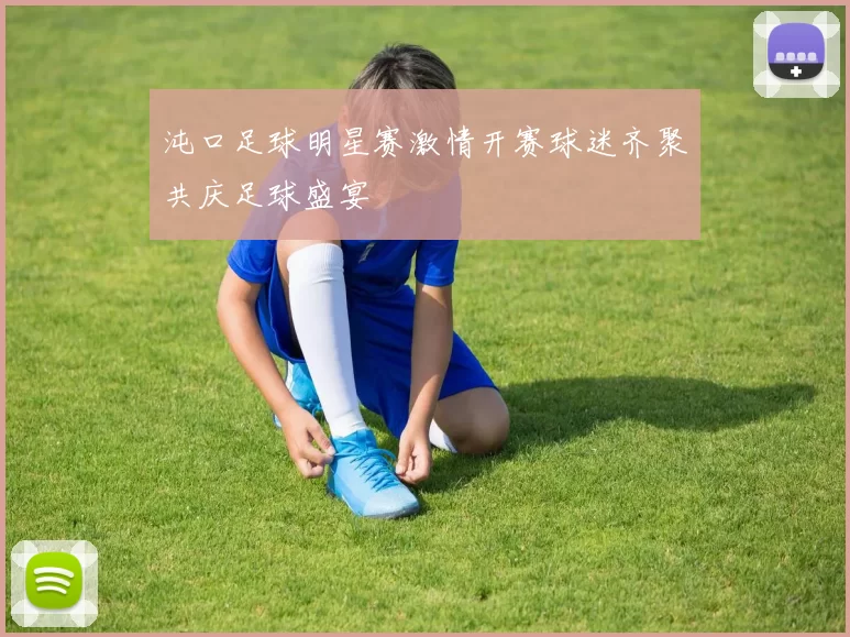 沌口足球明星赛激情开赛球迷齐聚共庆足球盛宴
