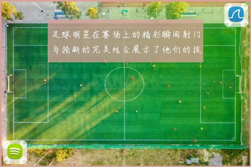 足球明星在赛场上的精彩瞬间射门与抢断的完美结合展示了他们的技术与激情
