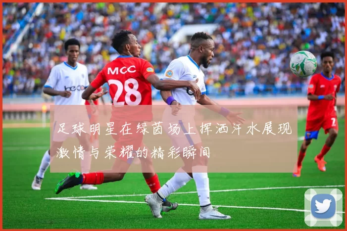 足球明星在绿茵场上挥洒汗水展现激情与荣耀的精彩瞬间