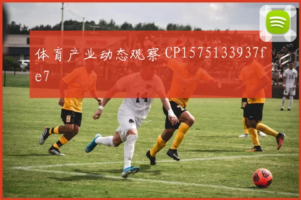 体育产业动态观察 CP1575133937fe7