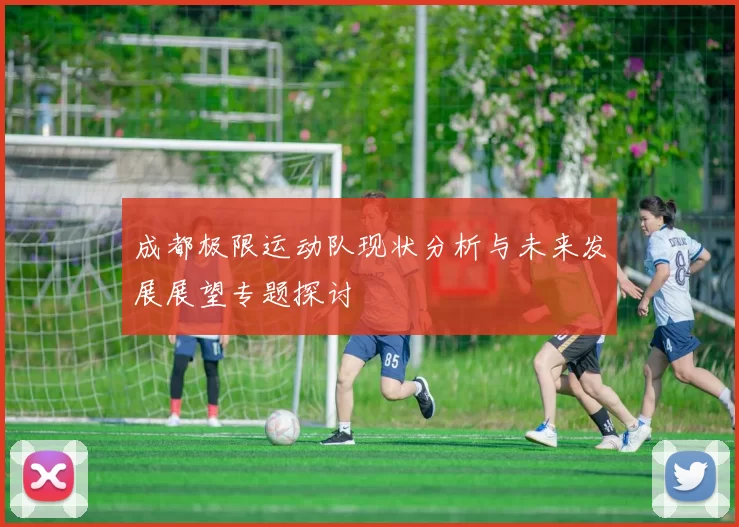 成都极限运动队现状分析与未来发展展望专题探讨