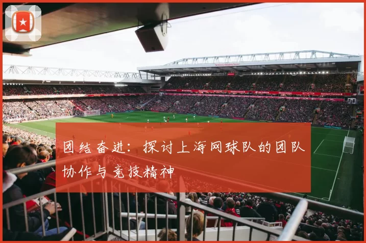 团结奋进：探讨上海网球队的团队协作与竞技精神