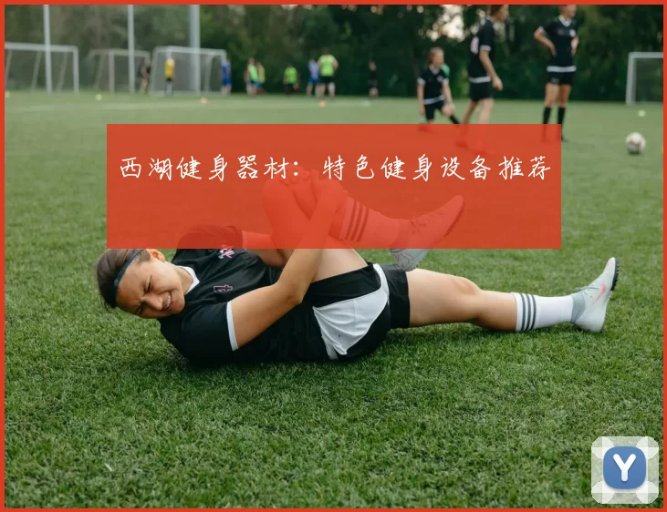 西湖健身器材：特色健身设备推荐