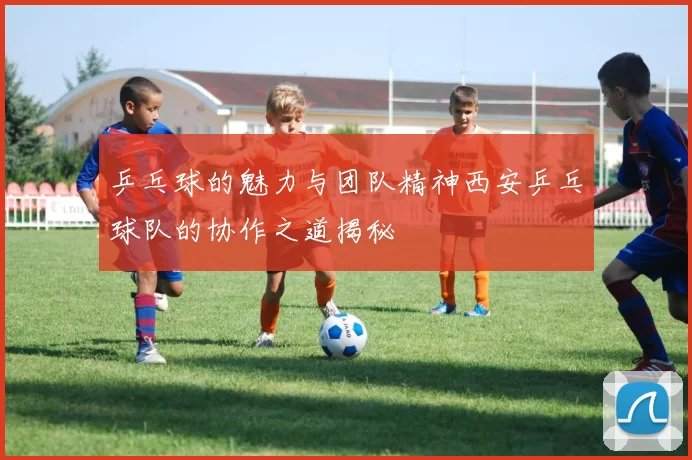 乒乓球的魅力与团队精神西安乒乓球队的协作之道揭秘