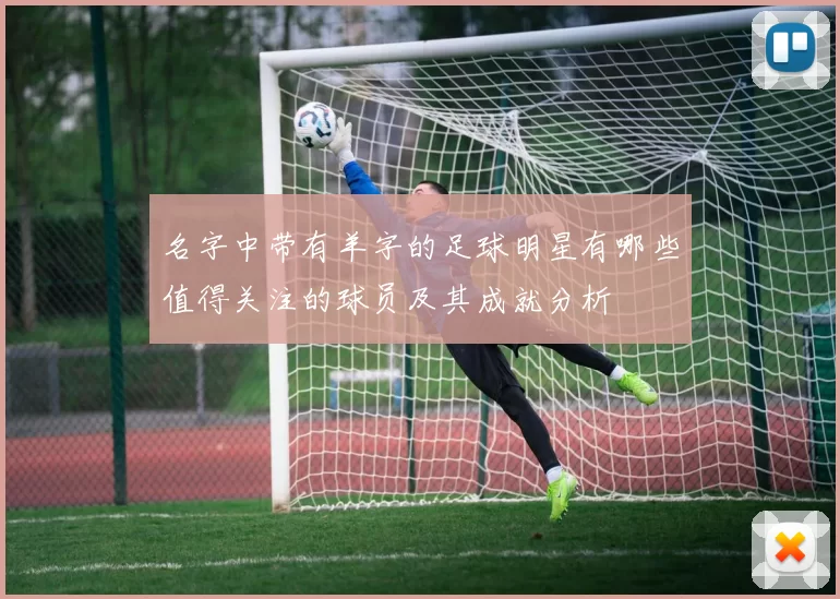 名字中带有羊字的足球明星有哪些值得关注的球员及其成就分析