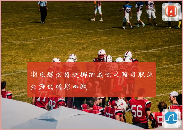 羽毛球女将赵娜的成长之路与职业生涯的精彩回顾