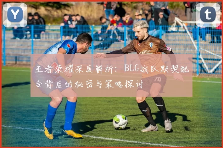 王者荣耀深度解析：BLG战队默契配合背后的秘密与策略探讨