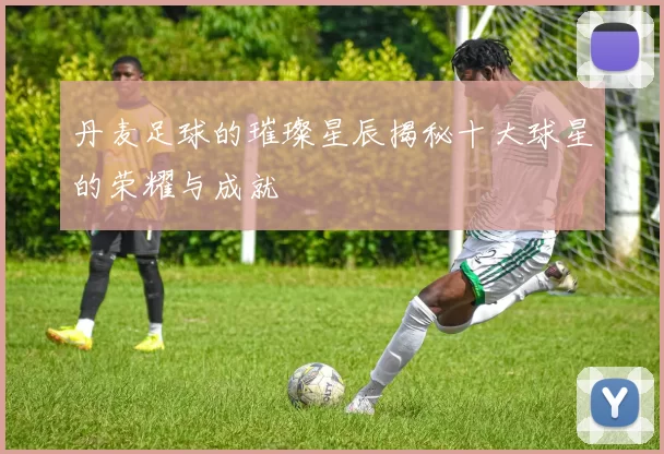 丹麦足球的璀璨星辰揭秘十大球星的荣耀与成就