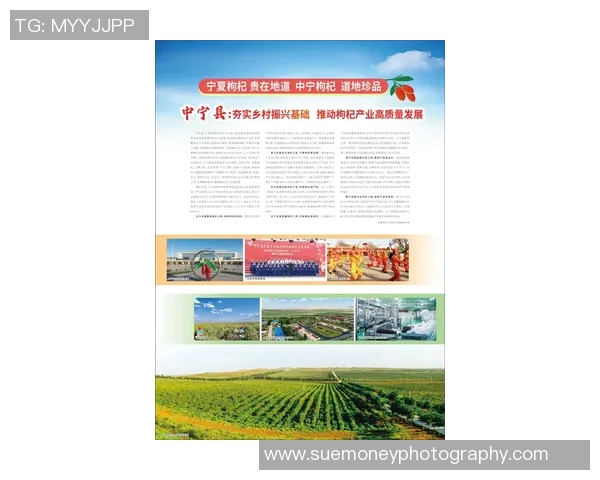 以创新驱动为核心推动力，深化产业结构调整与可持续发展战略实施路径