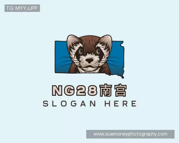 介绍ng28(南宫)相信品牌的力量